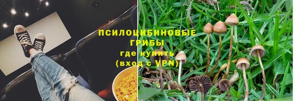 мяу мяу мука Алексин