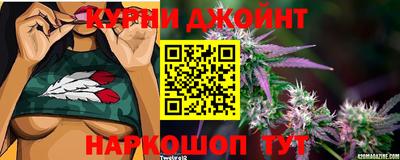 стаф Кулебаки