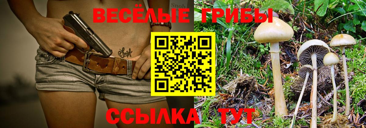Кинель  где купить   Галлюциногенные грибы прущие грибы  Вход с VPN  Галлюциногенные грибы Psilocybe 